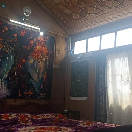 Houseboat Blue Dolphin Srinagar (Jammu and Kashmir) Exterior photo
