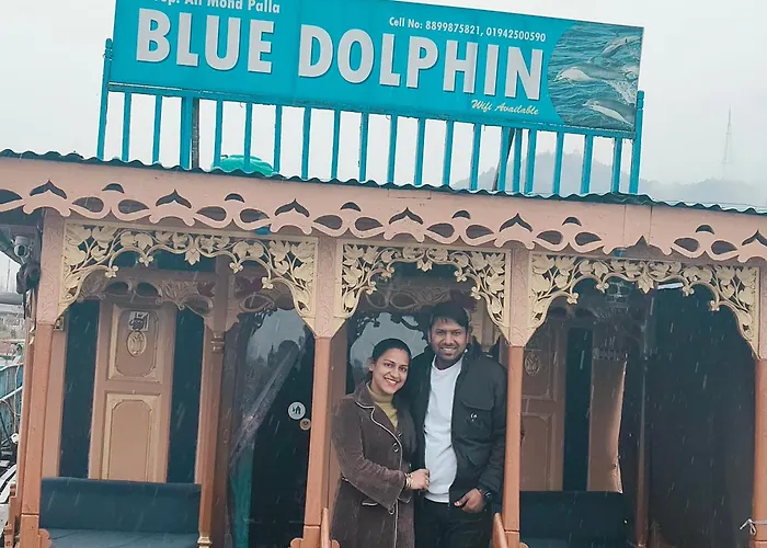 Houseboat Blue Dolphin
