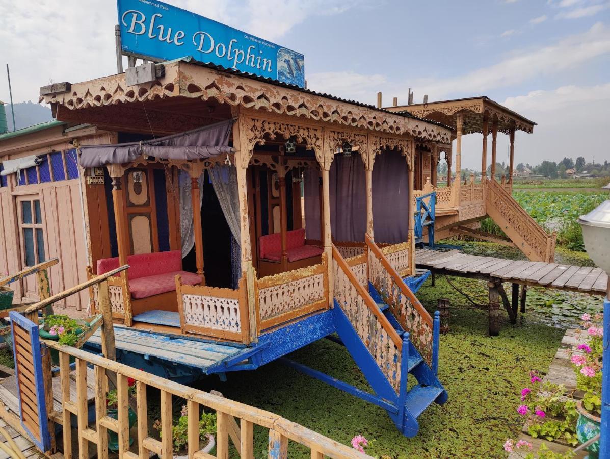 Houseboat Blue Dolphin *