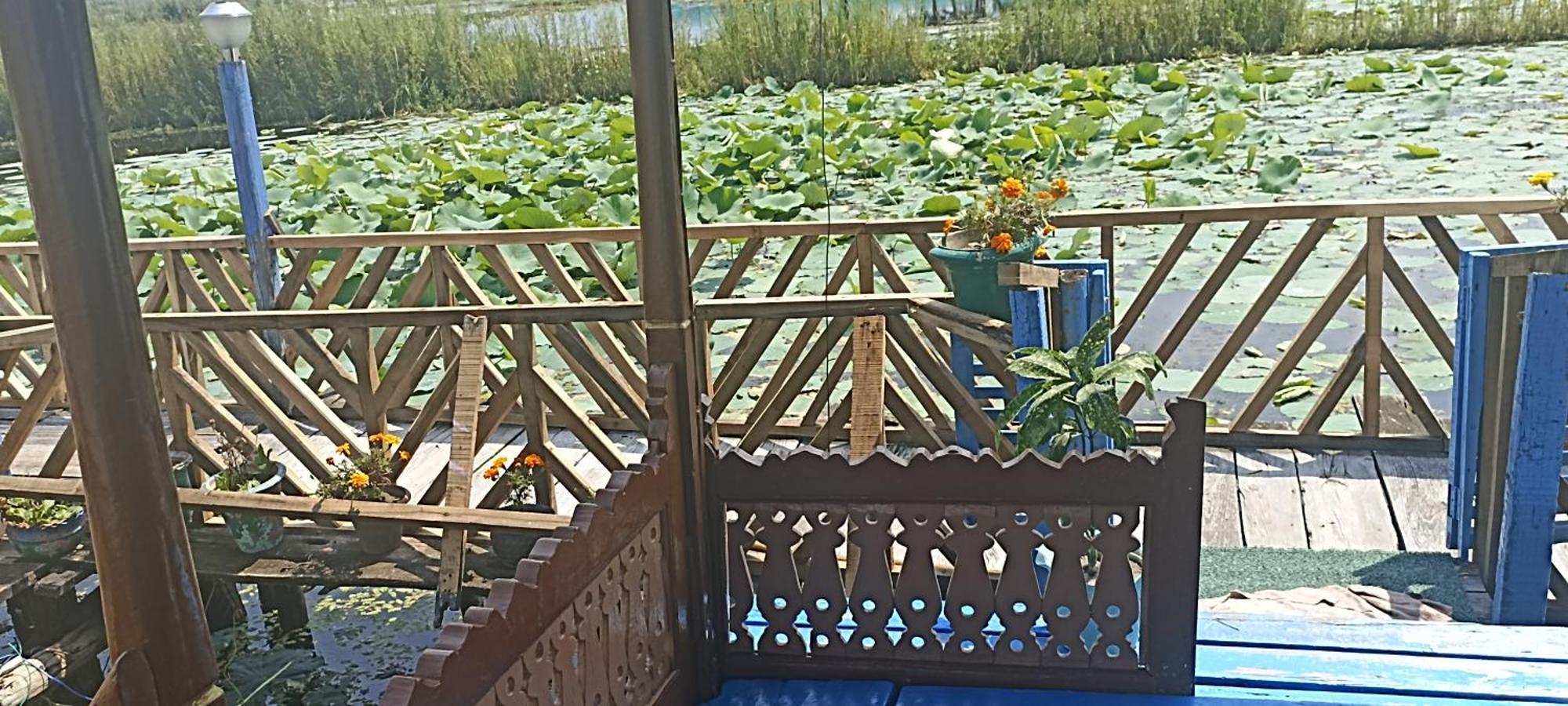 Houseboat Blue Dolphin Botel *